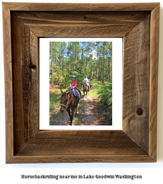 horseback riding near me in Lake Goodwin, Washington